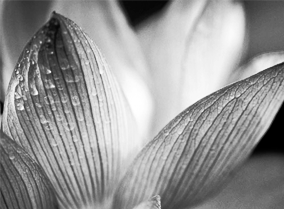 手机攻击器APP下载