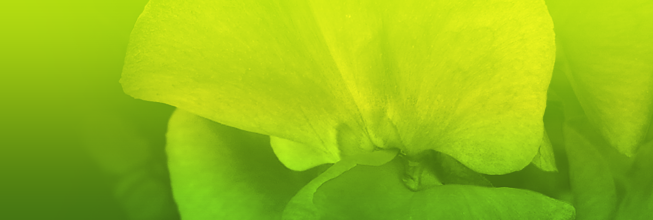 真正懂企业需求的免费攻击网站